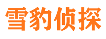 天台市侦探公司